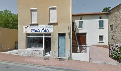 Pluto'Chic, Toiletteur pour Animaux à Renaison