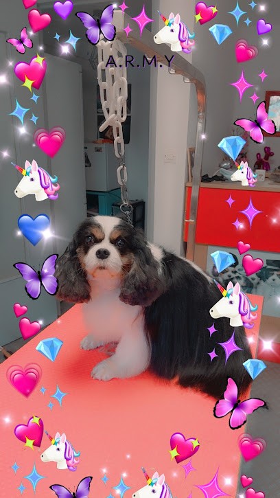 FRIMOUSSE TOILETTAGE, Toiletteur pour Animaux à Auxerre