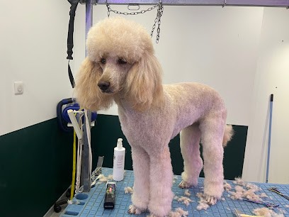 Happy And Jessy | Salon De Toilettage, Toiletteur pour Animaux à La Colle-sur-Loup