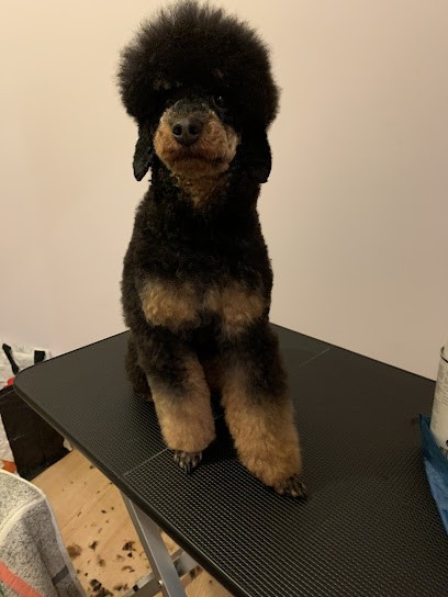 Scooby doo Toilettage, Toiletteur pour Animaux à Mauron