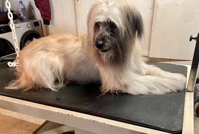 Aux P’tits Soins, Toiletteur pour Animaux à Palau-del-Vidre