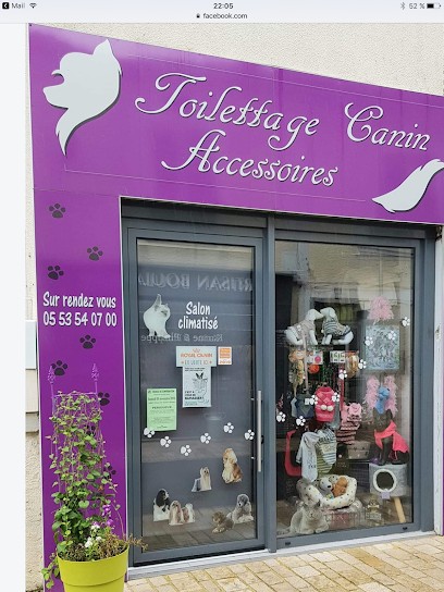 Toilettage Canin Accessoires, Toiletteur pour Animaux à Saint-Astier