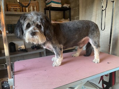 OS’I DOUX, Toiletteur pour Animaux à Robion