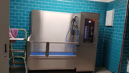 Au Bain De Mon Chien, Toiletteur pour Animaux à Venarey-les-Laumes