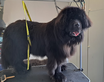 Poils Os Pattes Toiletteur Pour Animaux aux Mages