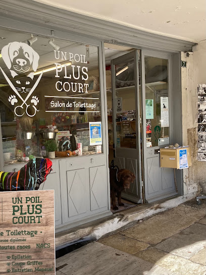 Toilettage Un Poil Plus Court Toiletteur Pour Animaux à Arinthod