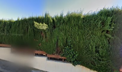 Paret Solet Martine, Toiletteur pour Animaux à Saint-Georges-d'Orques