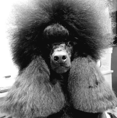 Diamond's Tooch / Toilettage / Training Groomer, Toiletteur pour Animaux à Publier