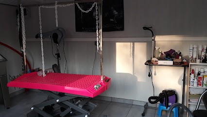 L'Institut Des 4 Pattes, Toiletteur pour Animaux à Pessines