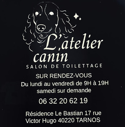 L' Atelier Canin, Toiletteur Pour Animaux à Tarnos