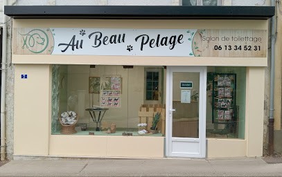 Au Beau Pelage, Toiletteur pour Animaux à Saint-Martin-d'Auxigny