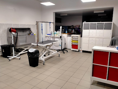 Aux Pelages Tou'dou Toiletteur Pour Animaux à Gonneville-la-Mallet