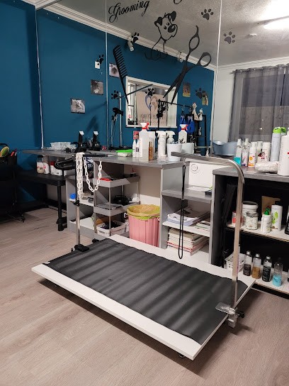 Perle D'ho, Toiletteur pour Animaux à Senonches