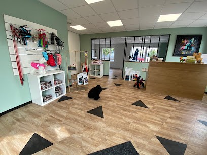 4 Pattes Bien-Etre, Toiletteur pour Animaux à Bischwiller