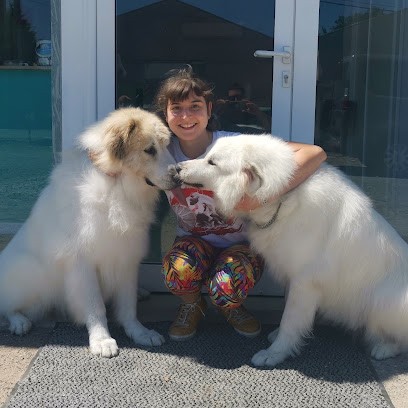 50 NUANCES DE POILS - Toilettage & Lavage Libre-service, Toiletteur pour Animaux à Portet-sur-Garonne