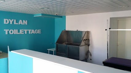 Dylan Toilettage, Toiletteur pour Animaux au Poiré-sur-Vie