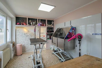 Elegance Toilettage, Toiletteur pour Animaux à Baule