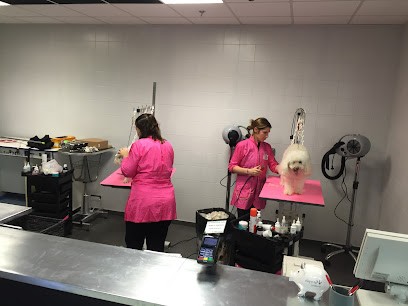 Toilettage du Cailly Bapeaume les Rouen, Toiletteur pour Animaux à Canteleu