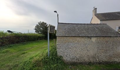 Toilettage chien et chat à domicile, Toiletteur pour Animaux à Rubercy