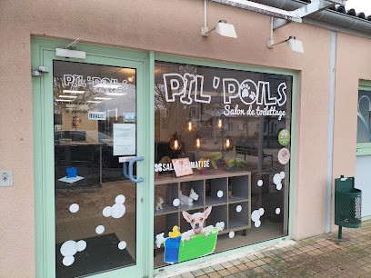Pil' Poils, Toiletteur pour Animaux à Prigonrieux