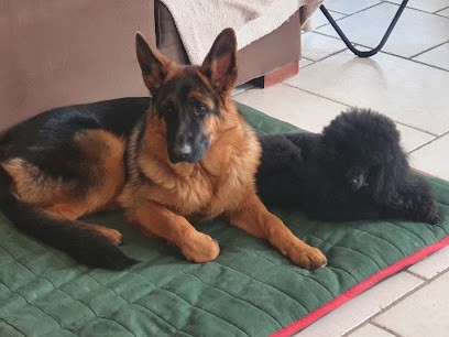 Les 4 Pattes Aux Poils, Toiletteur pour Animaux à Tournan-en-Brie