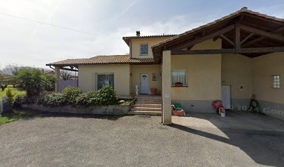 Braque Ariège Chien de chasse d'arrêt, Toiletteur pour Animaux à Lorp-Sentaraille