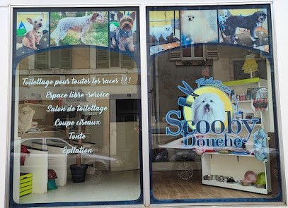 Scooby-Douche, Toiletteur pour Animaux à Saint-Astier