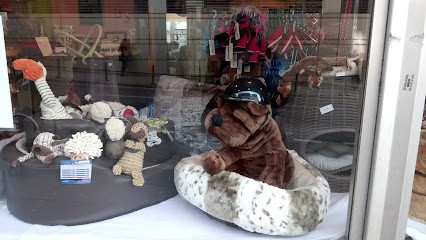 Bande A Cabot, Toiletteur pour Animaux à Paris 20