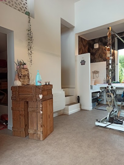 Aux P'tites Pattounes, Toiletteur pour Animaux à Carency