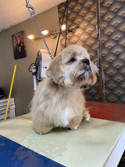 Salon De Toilletage Canin Cleb Art, Toiletteur pour Animaux à Marquette-en-Ostrevant