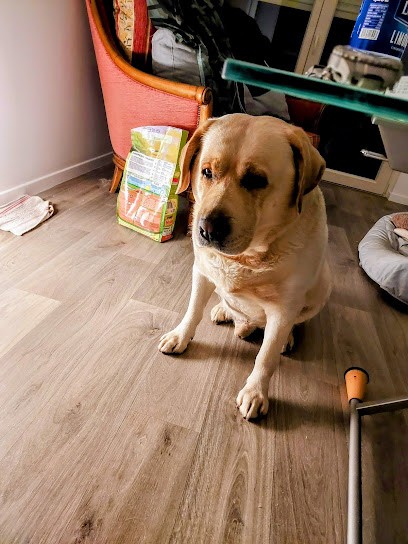 Métamorph’Os, Toiletteur pour Animaux à Montigny-lès-Metz