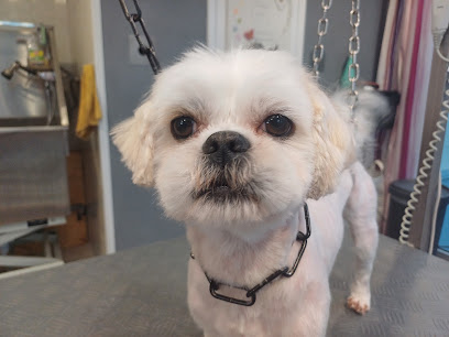 Flair'allure | Toilettage Canin Et Félin Toiletteur Pour Animaux à Poitiers