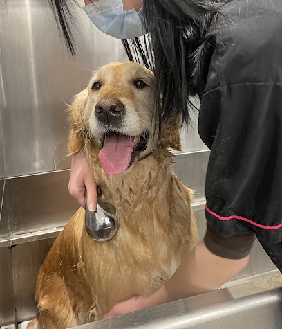 Dog’s Luxury, Toiletteur pour Animaux à Dampierre-en-Burly