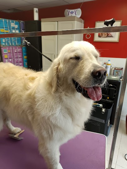 Toilettage Laurence, Toiletteur pour Animaux au Haillan