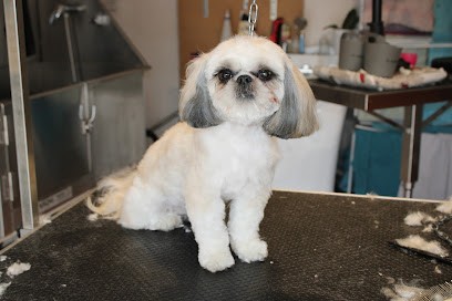 La Niche D'Emilie salon de toilettage Evreux Navarre, Toiletteur pour Animaux à Évreux