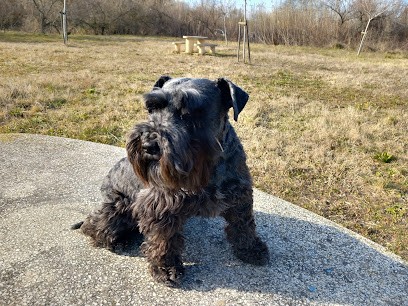 Toutou Station, Toiletteur pour Animaux à Lunel Viel