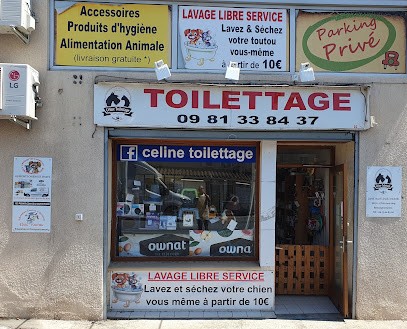 Céline Toilettage, Toiletteur pour Animaux à Lézignan-Corbières