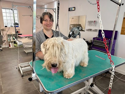 Lovely Dog, Toiletteur pour Animaux à La Roche-sur-Foron