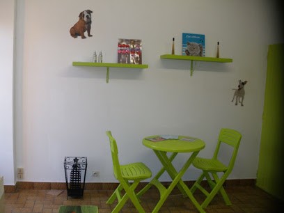 Julie C'ouaf Toutou, Toiletteur pour Animaux à Montenay