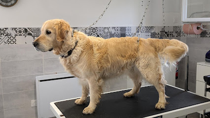 O Poil Touffu, Toiletteur Pour Animaux à Quintenas