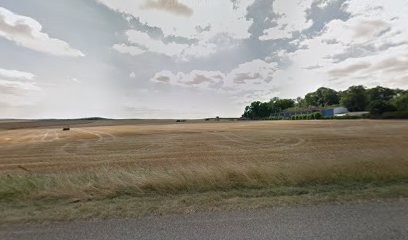 Toutou &Cie, Toiletteur pour Animaux à Vernéville