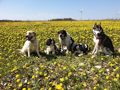 Jessica Karcher, Toiletteur pour Animaux à Lavallée