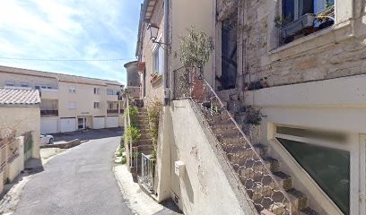 MV Toiletage, Toiletteur pour Animaux à Saint-Aunès