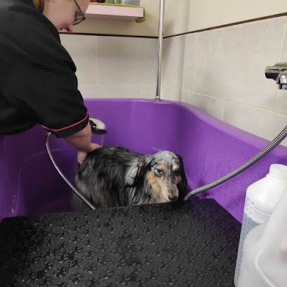 L'Eure du Toilettage, Toiletteur pour Animaux à Mesnils-sur-Iton