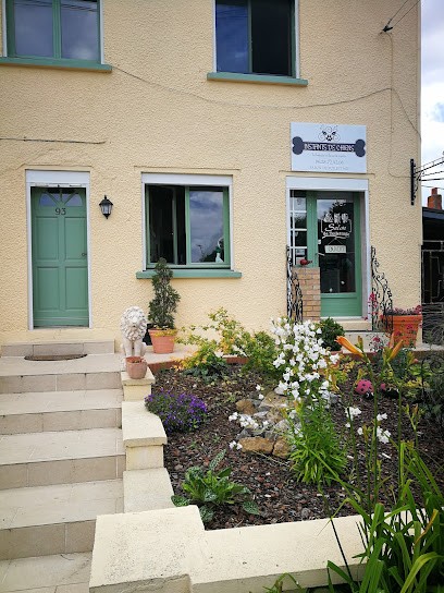 Instants De Chiens, Toiletteur pour Animaux à Saint-Hilaire-lez-Cambrai