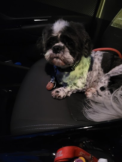 Aberth Thierry, Toiletteur pour Animaux à Viarmes