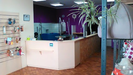 L Espace Canin, Toiletteur pour Animaux à Descartes