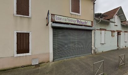Salon De Toilettage Peluch, Toiletteur pour Animaux à Saint-Gaudens