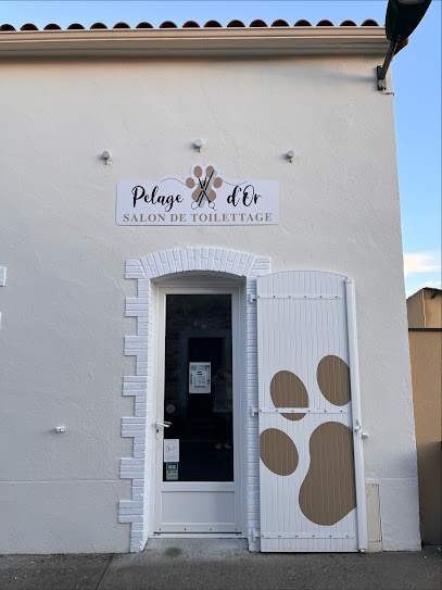 Pelage D'or - Toilettage Canin/Félin - Fougeré, Toiletteur Pour Animaux à Fougeré