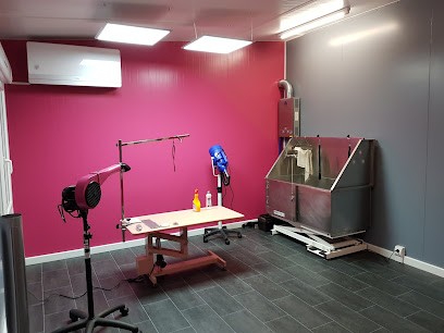 MS Éducation Et Sports Canin, Toiletteur pour Animaux à Monétay-sur-Allier